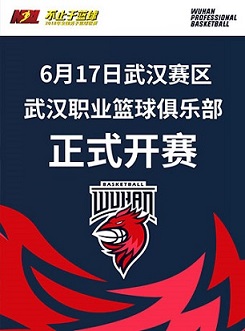 2018全国男子篮球联赛（NBL）武汉职业篮球俱乐部主场-武