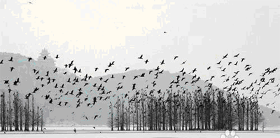 东湖