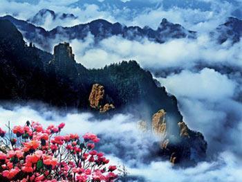 中国神农架生态旅游节