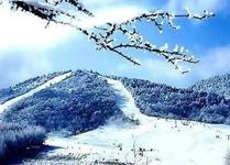 神农架国际滑雪节