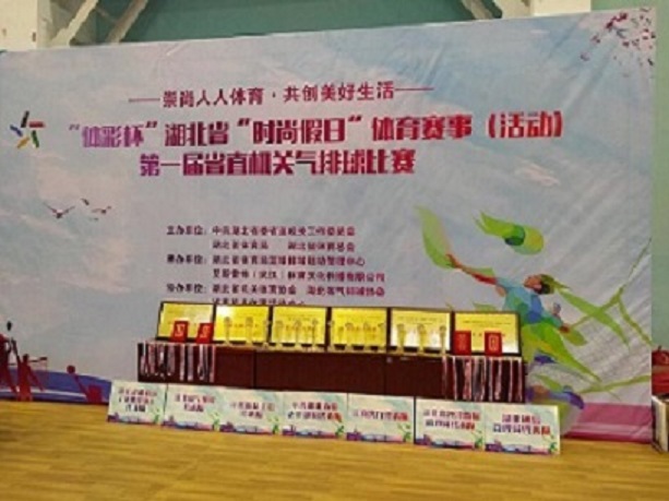 湖北省“时尚假日”体育赛事（活动）第一届省直机关气排球比赛